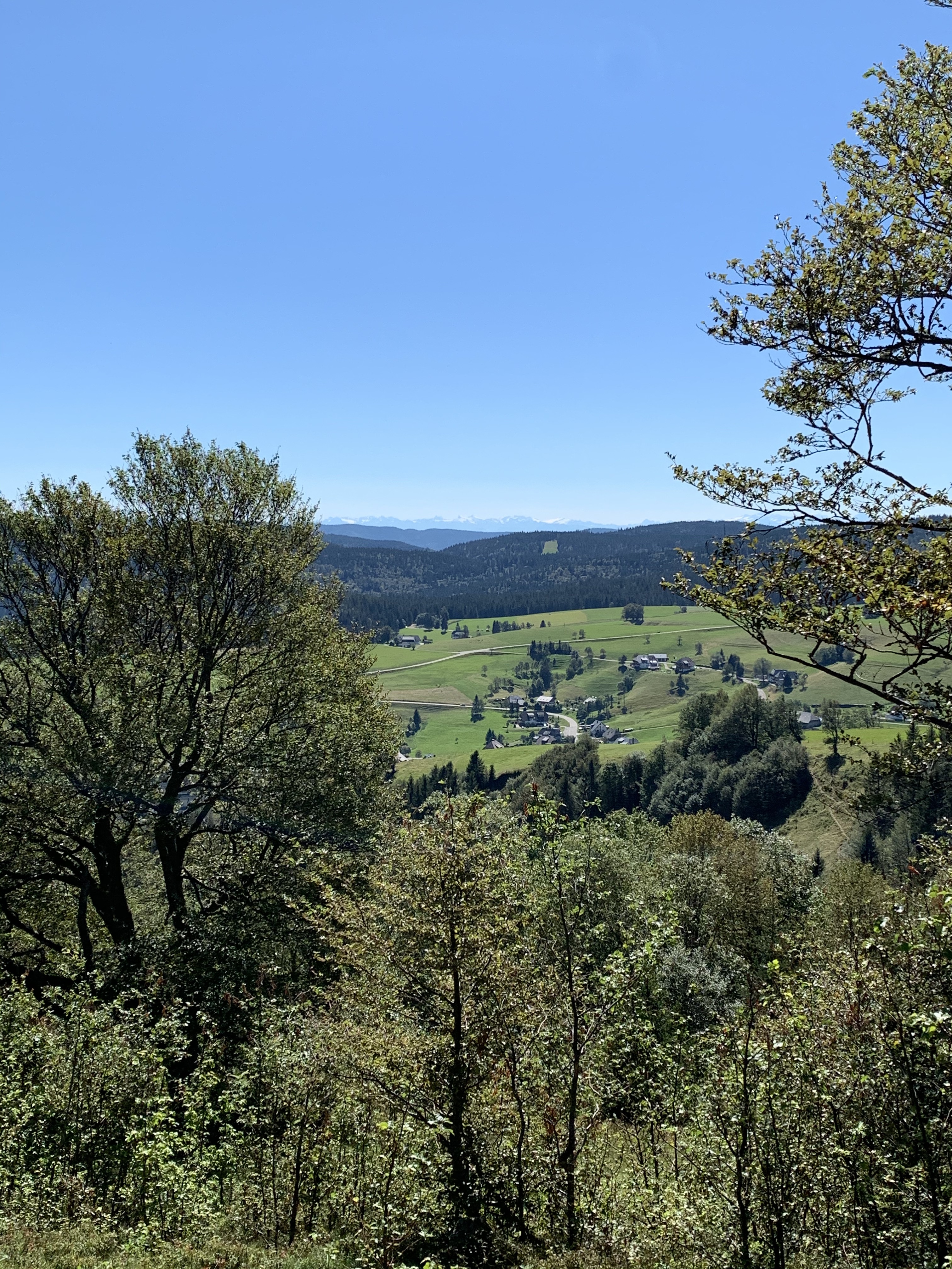 schauinsland